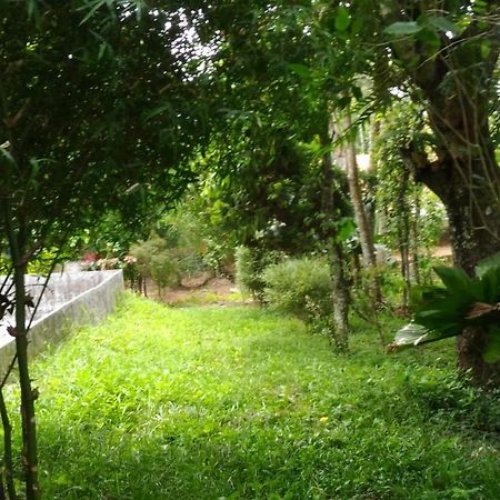 Philip Mary Farm Stay Thekkady Exterior foto