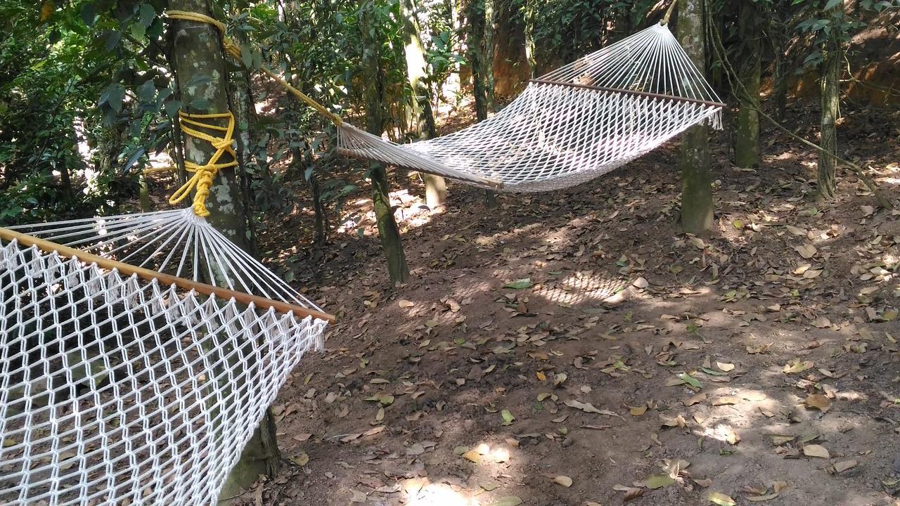 Philip Mary Farm Stay Thekkady Exterior foto