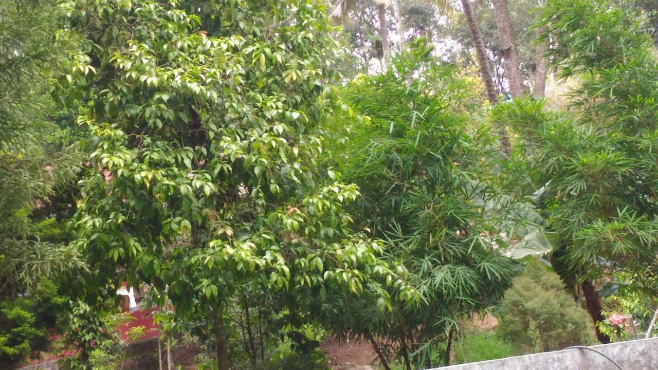 Philip Mary Farm Stay Thekkady Exterior foto